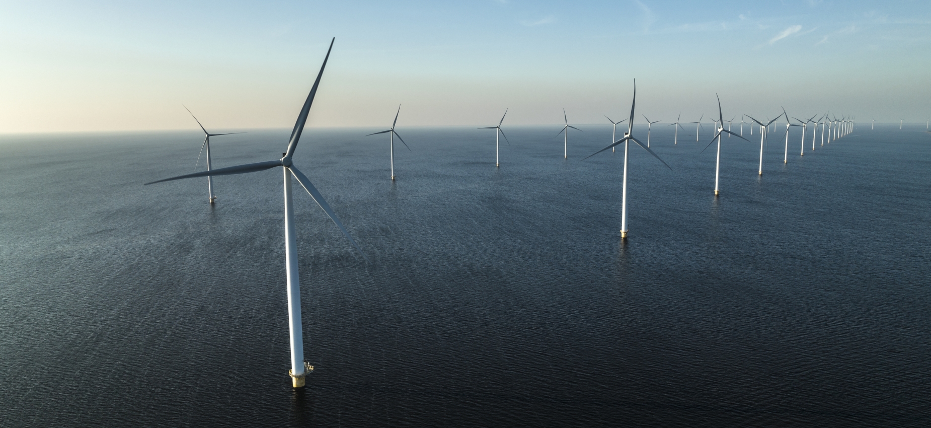 Offshore wind farm with rows of wind turbines at sea