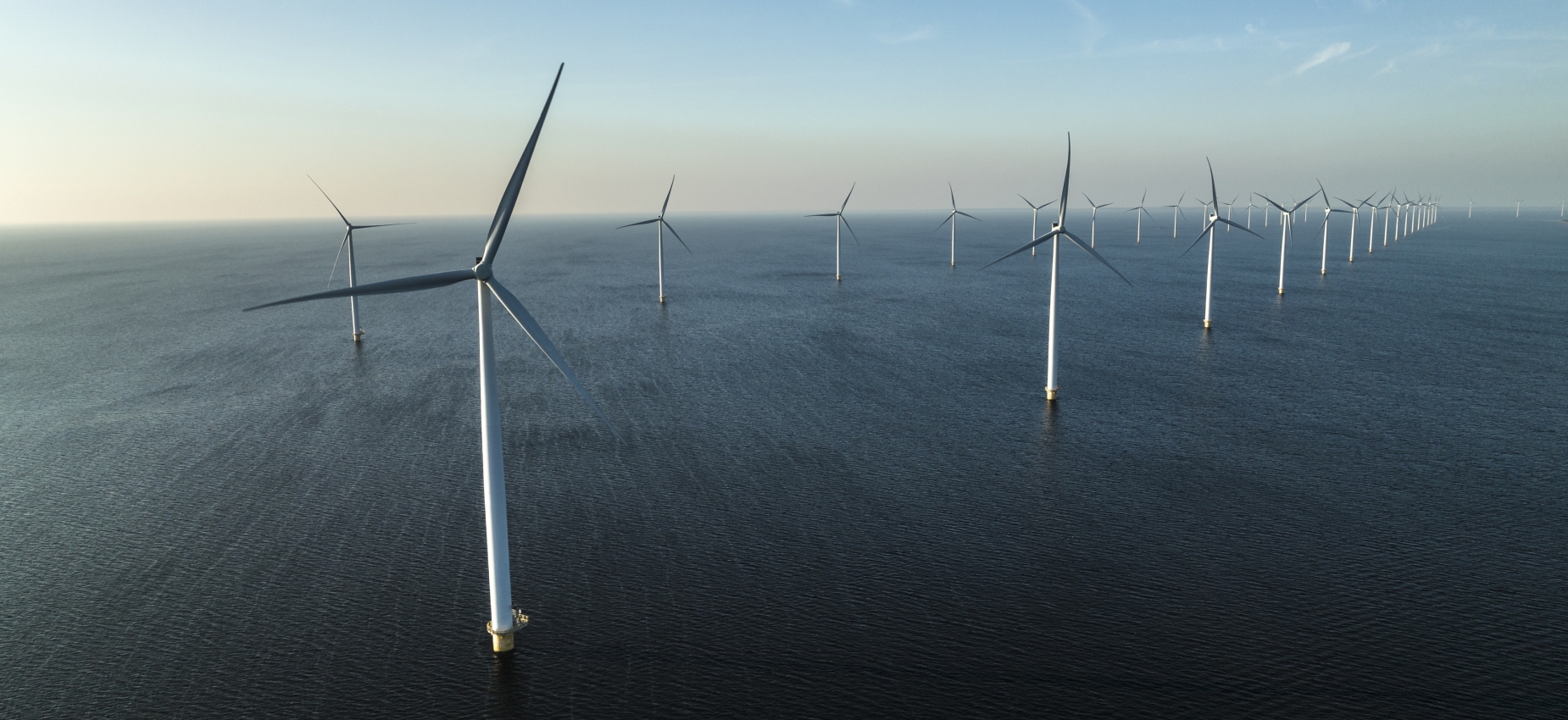 Offshore wind farm with rows of wind turbines at sea